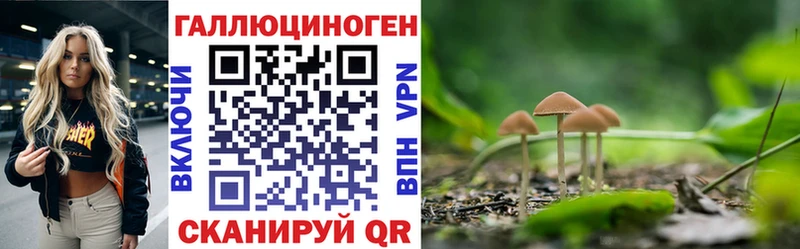 OMG зеркало  Правдинск  Псилоцибиновые грибы MAGIC MUSHROOMS 